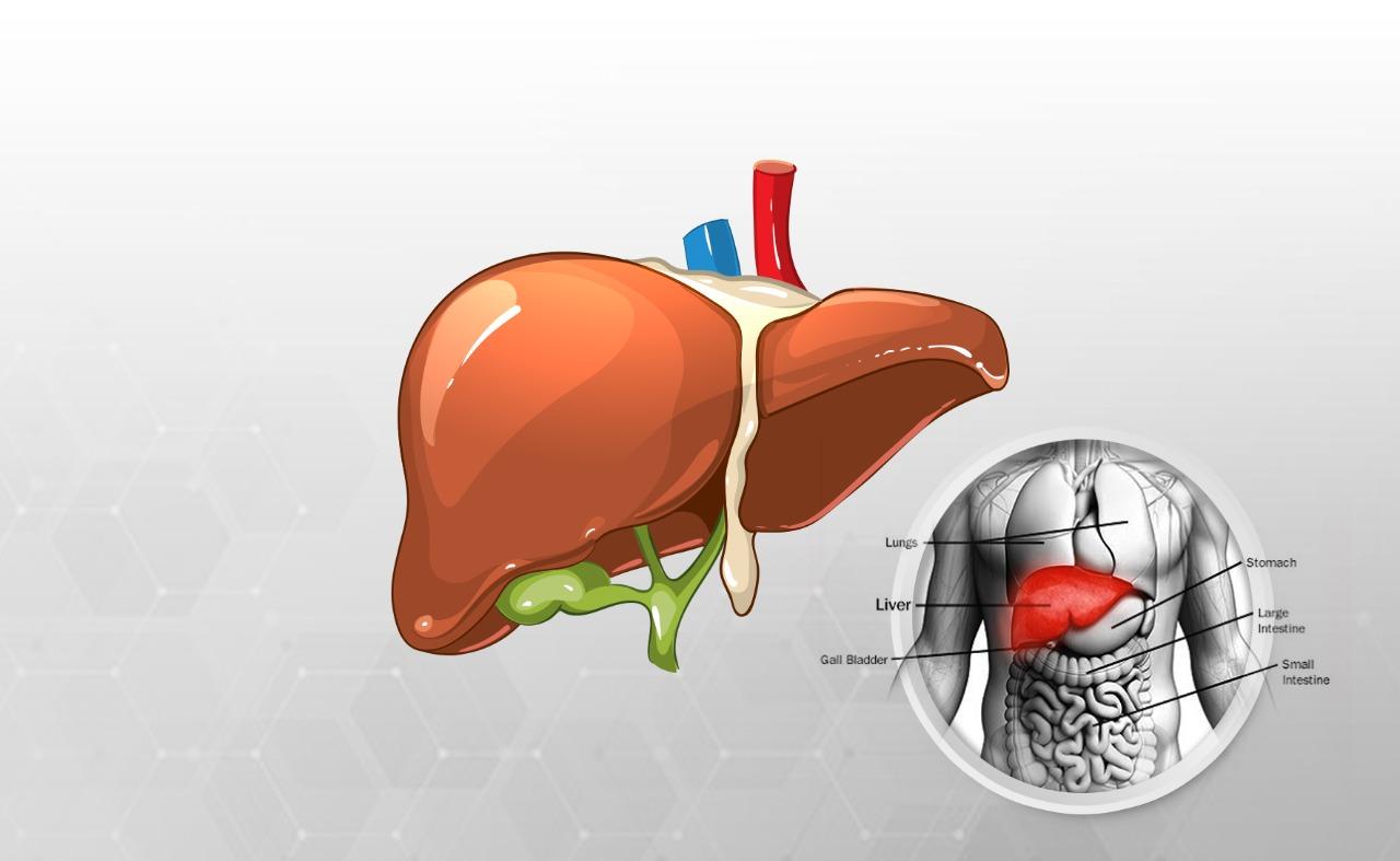 5 Types of hepatitis